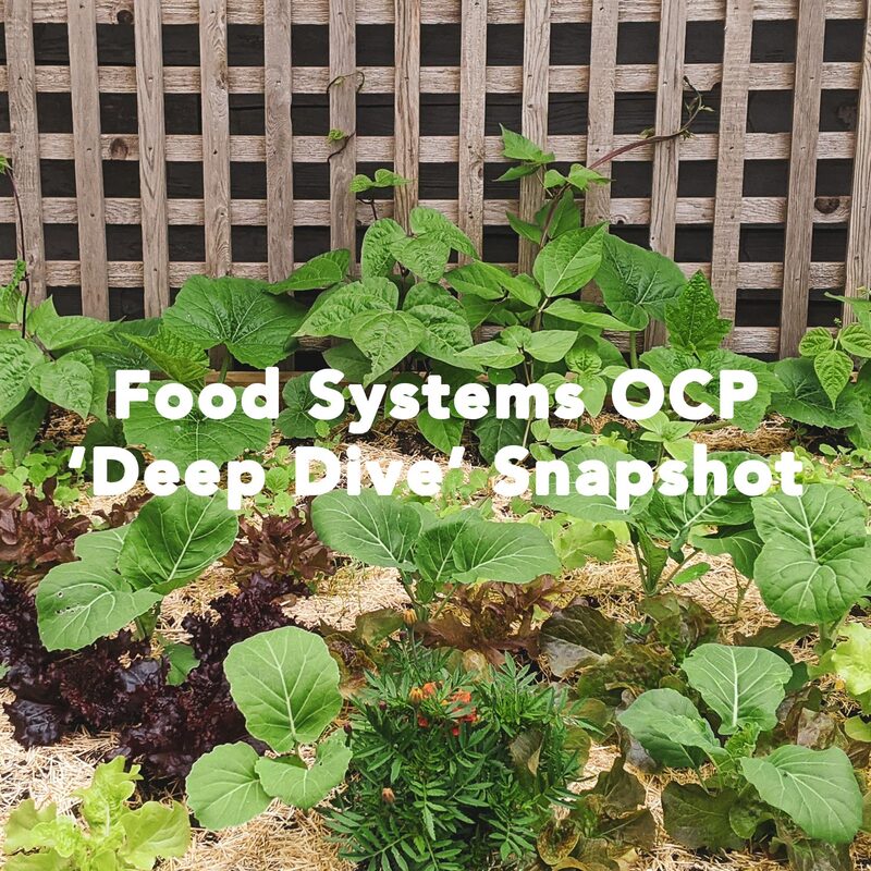 vegetables growing with text 'food systems OCP deep dive snapshot'