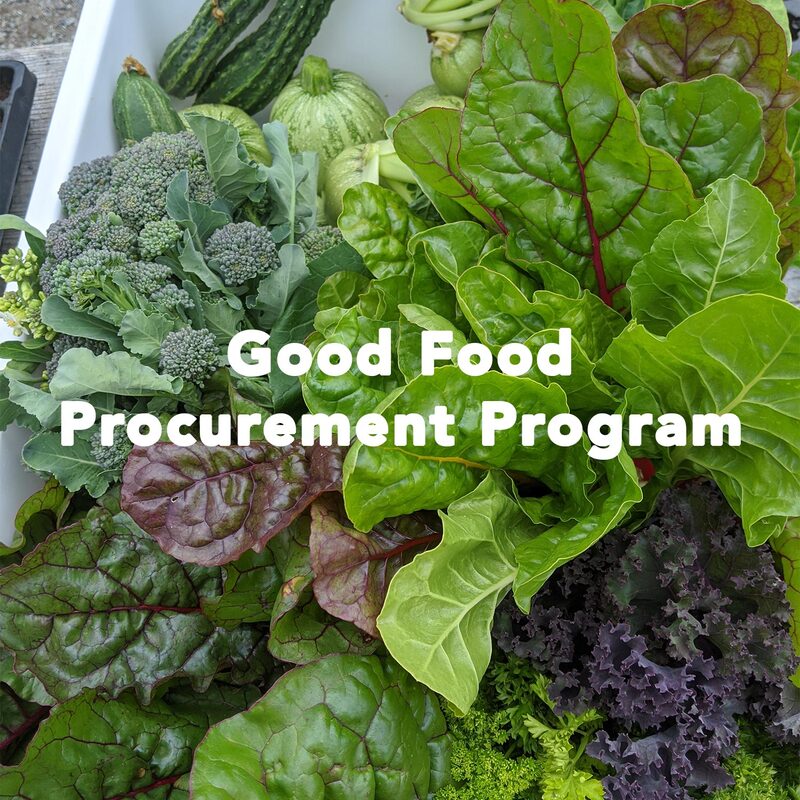 bin of greens with text 'good food procurement program'