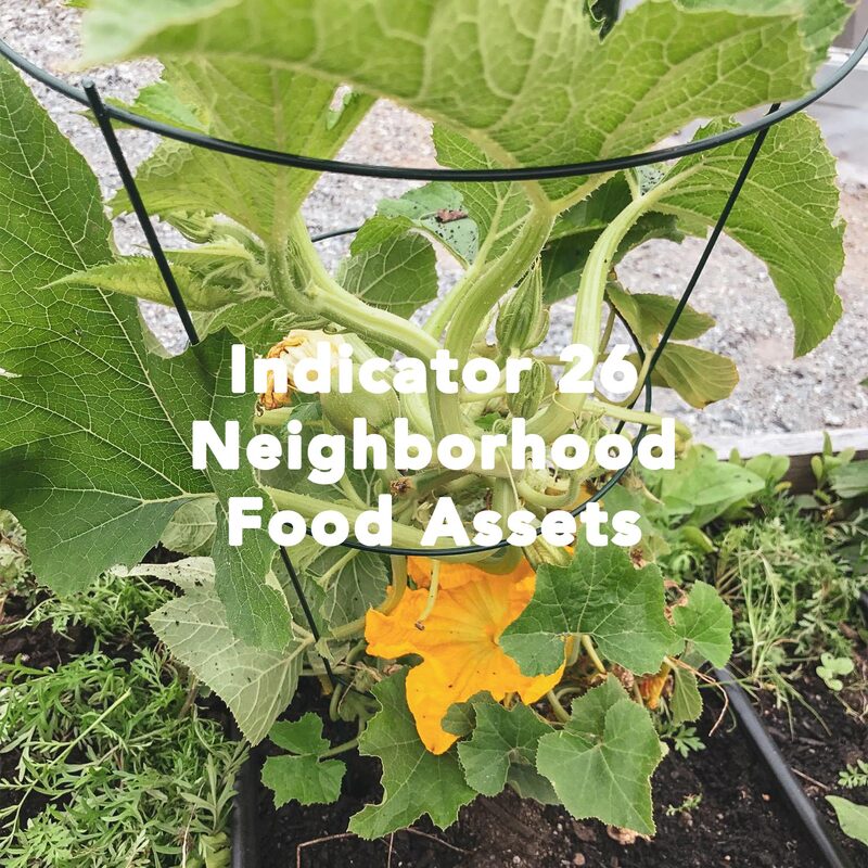 vegetables growing with text 'indicator 26 neighborhood food assets'
