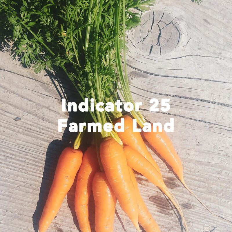 bunch of carrots with text 'indicator 25 farmed land'