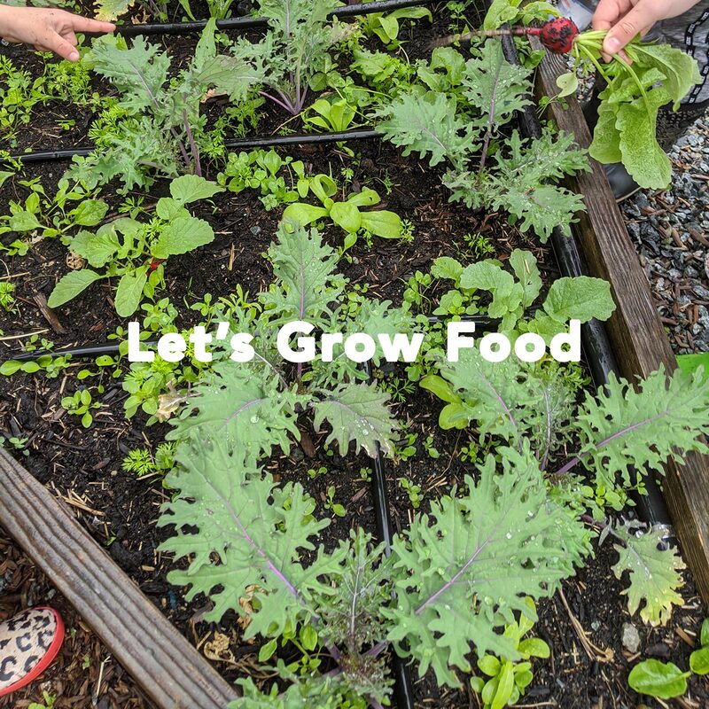 vegetable garden with text 'let's grow food'