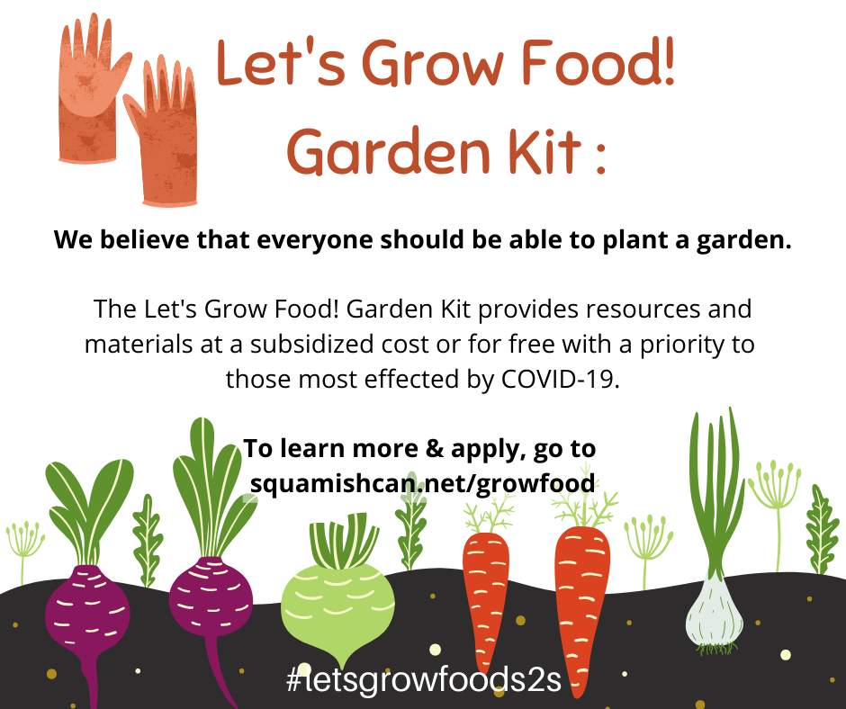 lets grow food garden kit informational poster