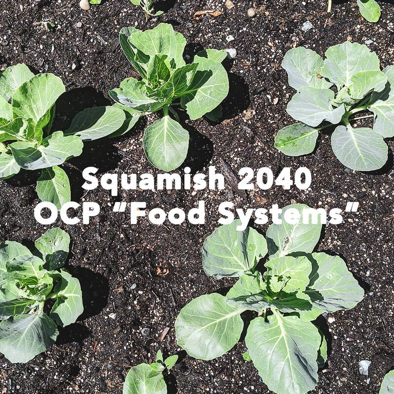 vegetables growing with text ' squamish 2040 OCP food systems'